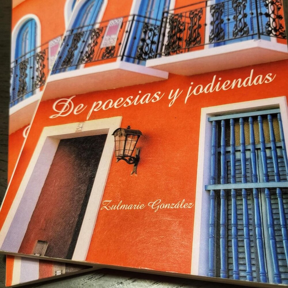 Love & Heartbreak Spanish Poetry Book | "De Poesias y Jodiendas" by ZG